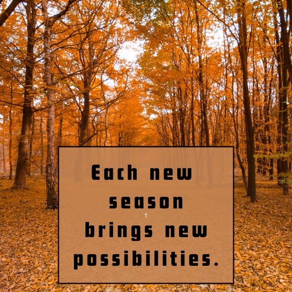 sale - Picture 1 of 16